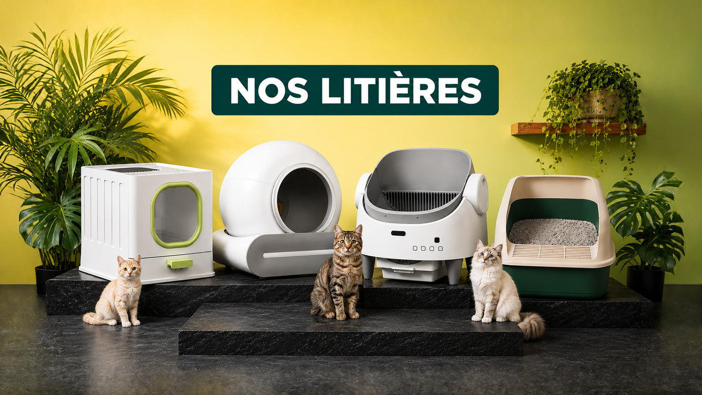 Litière automatique Mignou en situation