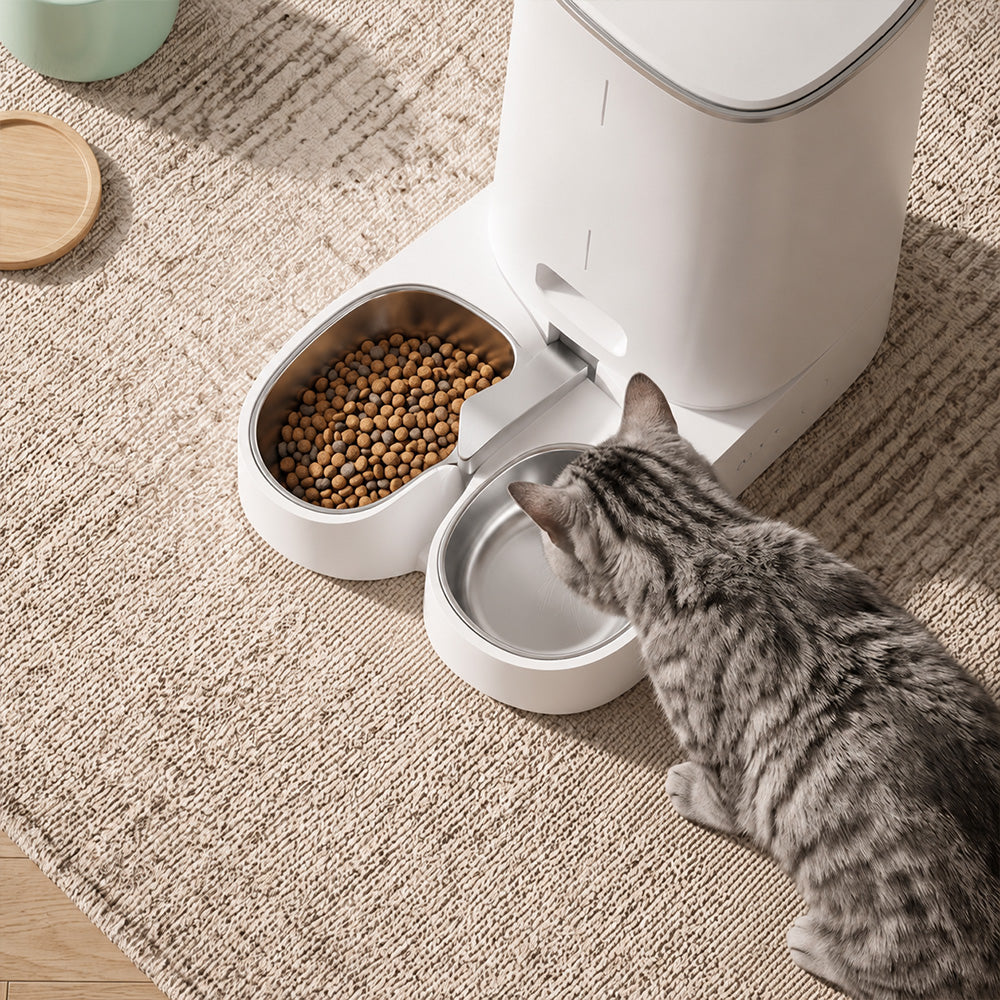 Vue de dessus d'un chat tigré devant la double gamelle inox du distributeur Rivo