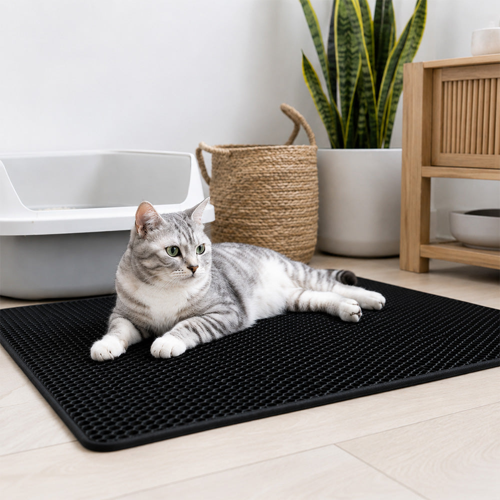 Tapis attrape-litière