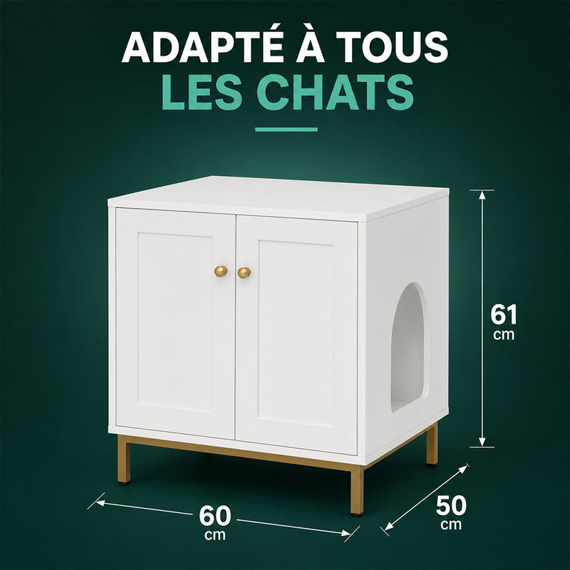 Vue de face