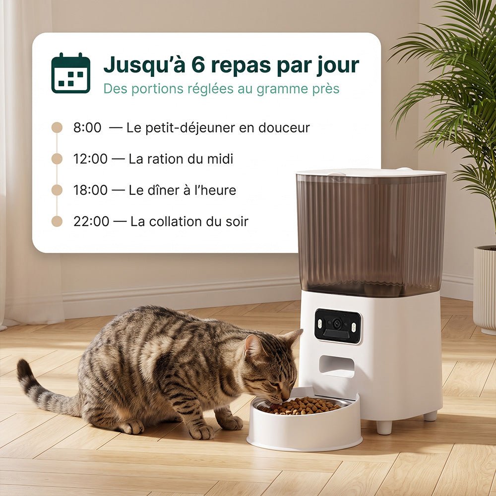 Distributeur automatique avec caméra - Nalo - Mignou