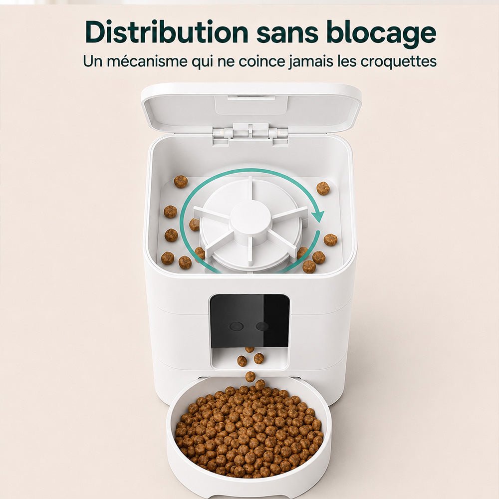 Distributeur automatique connecté - Kiwa - Mignou