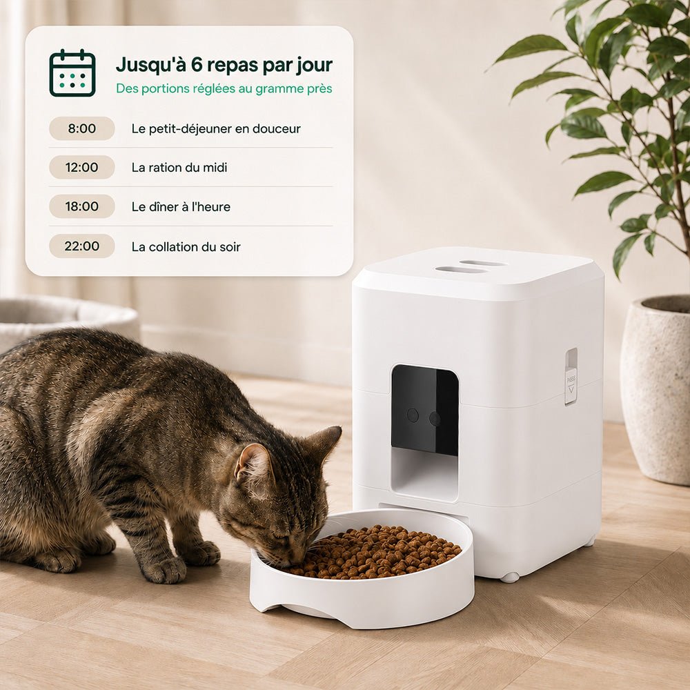 Distributeur automatique connecté - Kiwa - Mignou