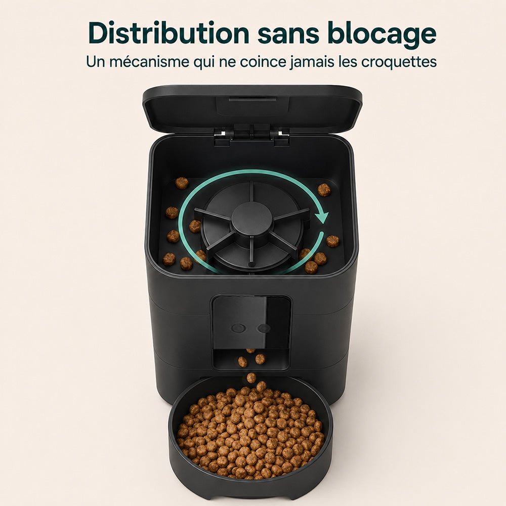 Distributeur automatique connecté - Kiwa - Mignou
