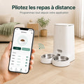Distributeur automatique - Rivo - Mignou