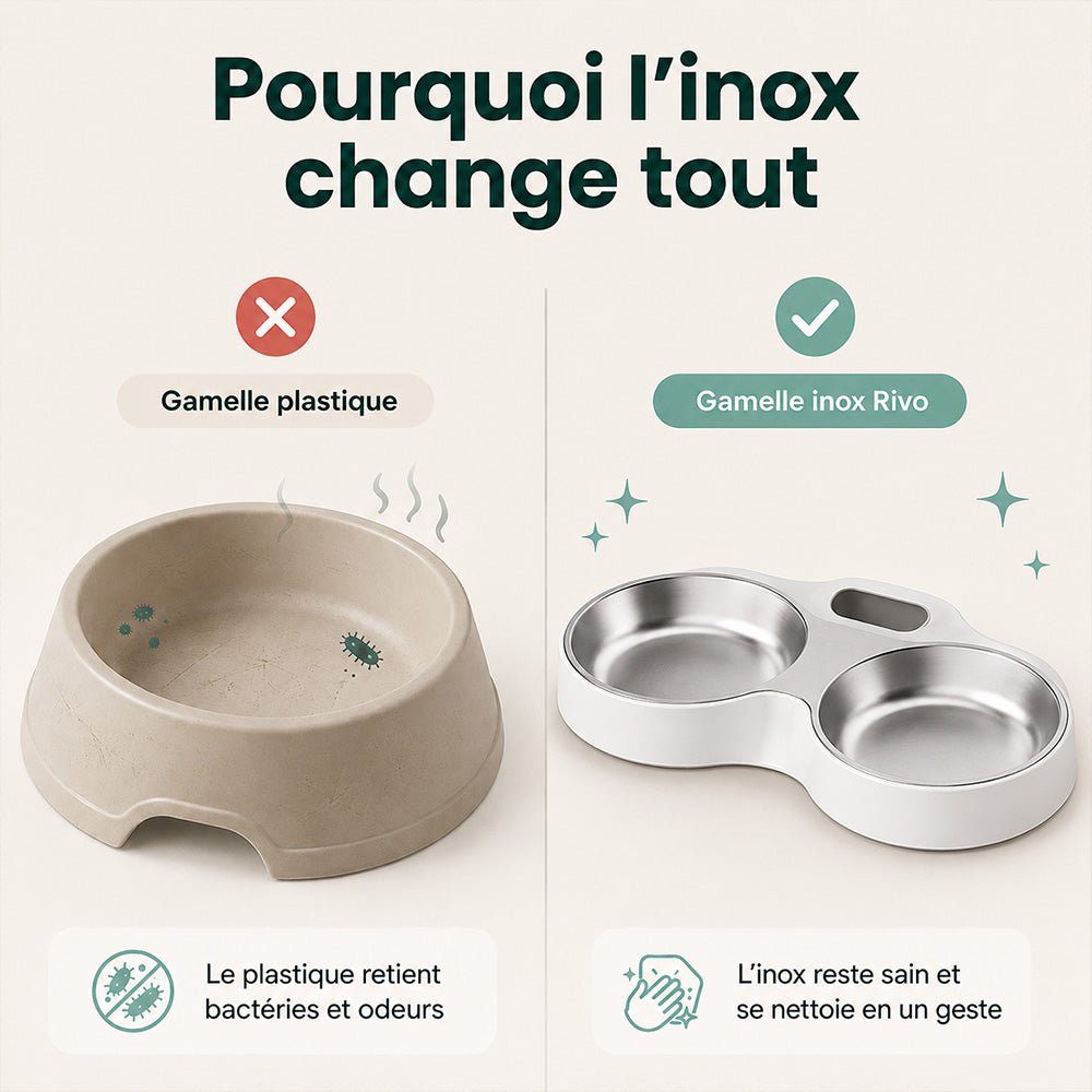 Distributeur automatique - Rivo - Mignou