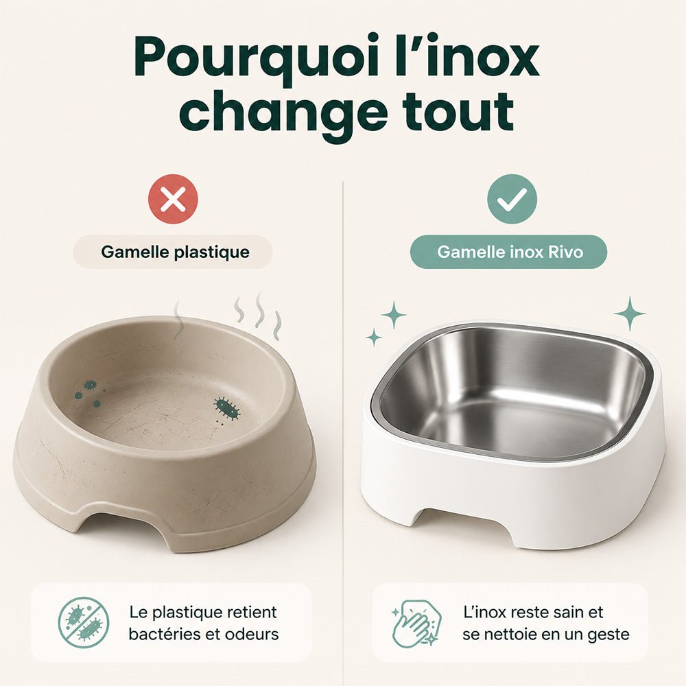 Distributeur automatique - Rivo - Mignou