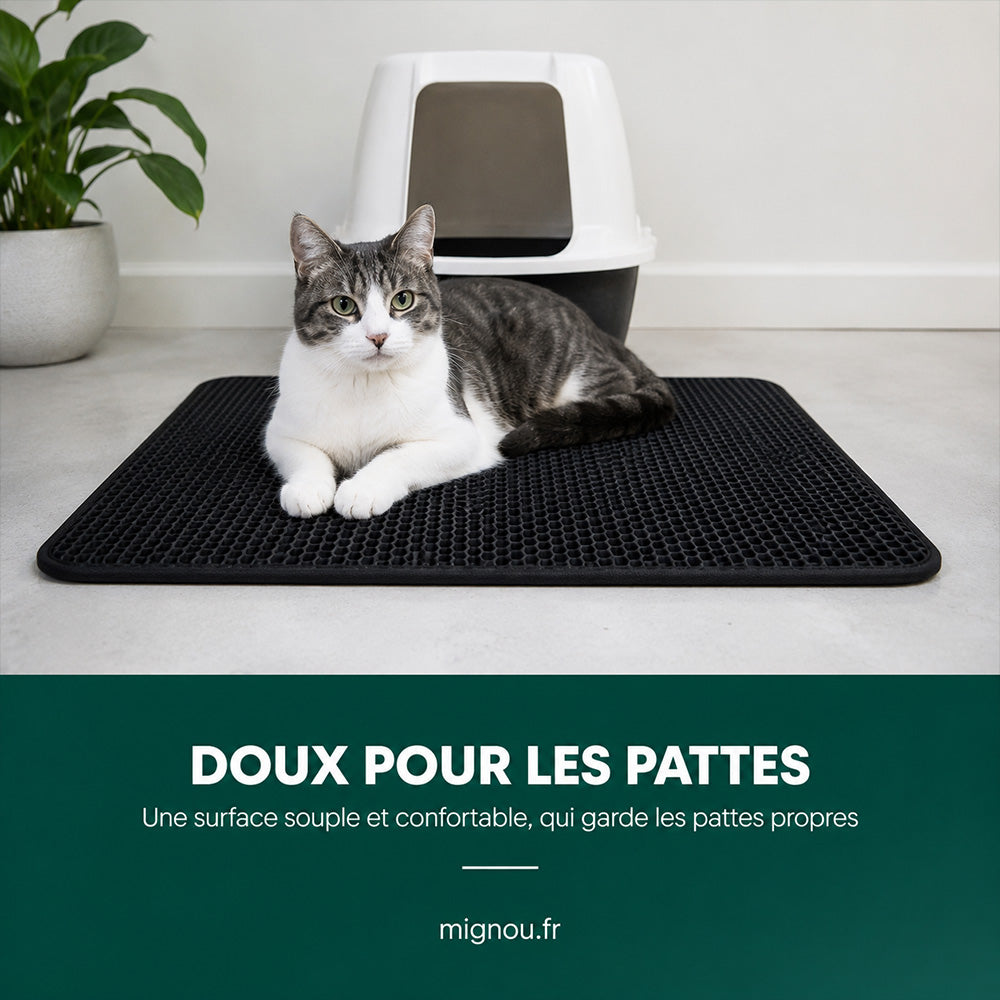Tapis attrape-litière