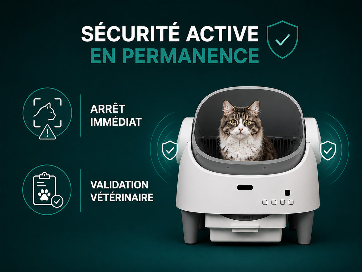 Sécurité pensée pour les chats