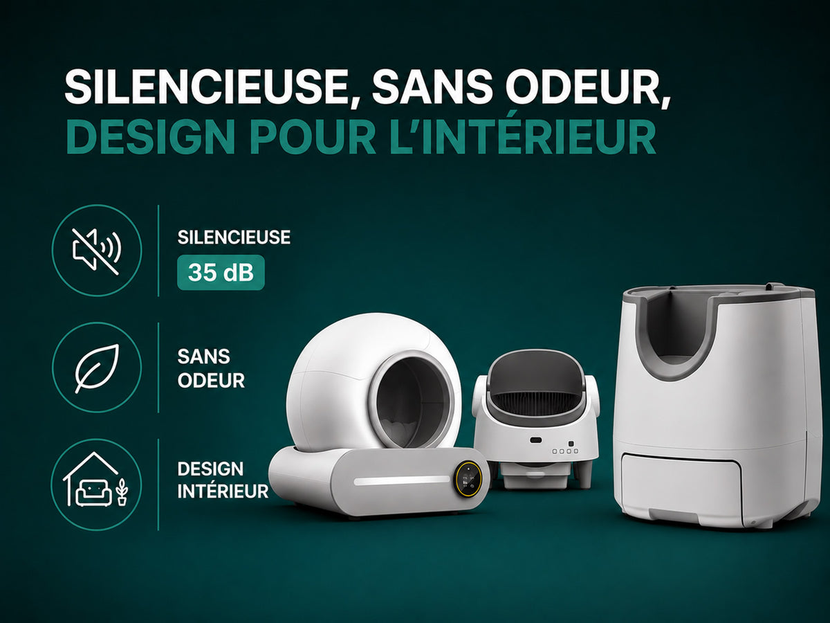 Discrète, autant le jour que la nuit